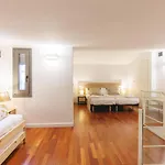 Bravissimo Placa Catalunya 2-2, Duplex * Gerona